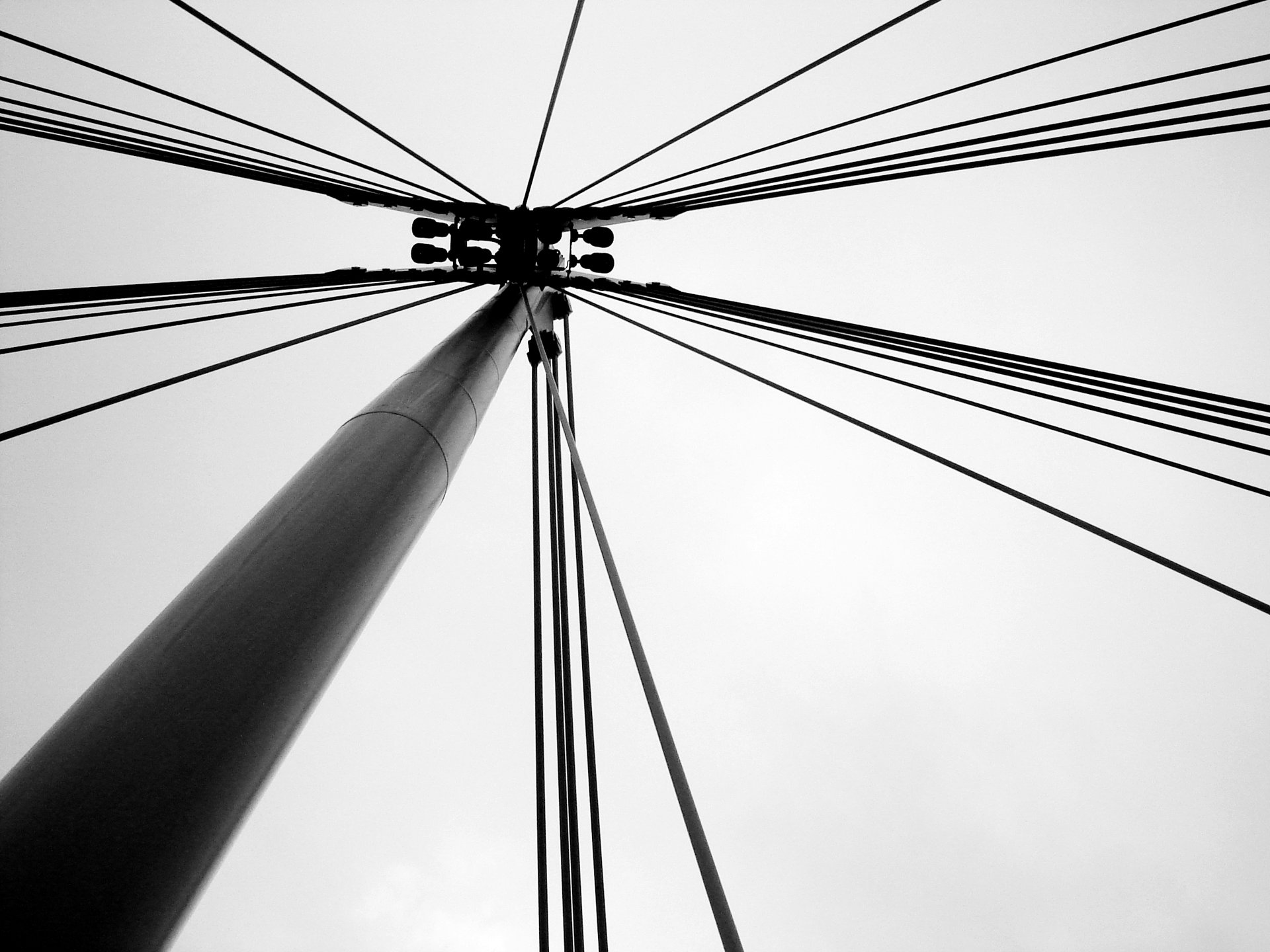 Lines Of Force